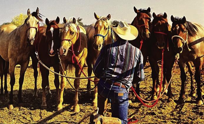 COWBOY SPIRIT Photographer Craig Kelly gave Cal permission to use one of his photos as the inspiration for the City Hall mural. | PHOTO CRAIG KELLY