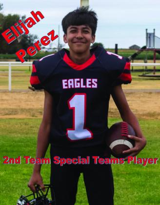 ALL-DISTRICT FOOTBALL HONORS