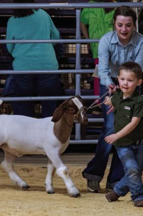 Stock Shows are just hard work! Just ask Grady Dorsett, who participated in the Pee-Wee Goat Show at the Garza County Junior Livestock Association show with the help of Hannah Krauser. Grady, who is four years old, is the son of Whitney and Matt Dorsett. Hannah Krauser is a junior at PHS and won Grand Champion Lamb during the 2023 GCJLA Show. Hannah is the daughter of Chelisa Williams-Krauser. Photo by Ron Francis