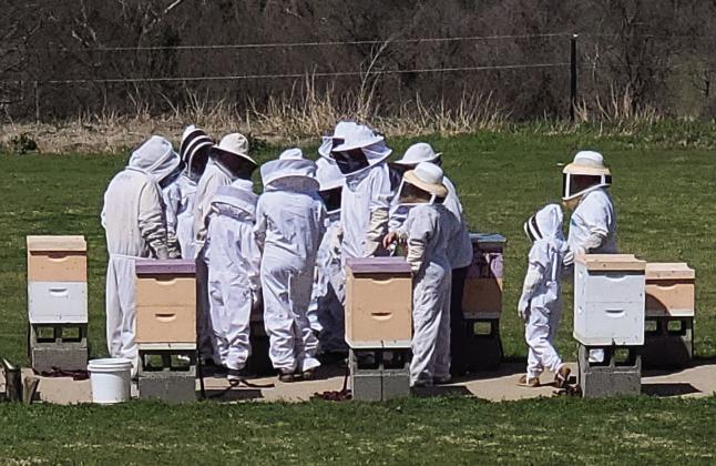 BEEKEEPING Families watch as a beekeeper examines a hive, looking for the queen and honey amid the worker bees. A Beekeeping School will be held on March 1 in Brenham, TX. | COURTESY PHOTO