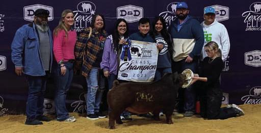Congratulations to Myles Rodriguez on his Class winning Duroc Gilt at the Texas Elite Showcase! Awesome Job! Myles is an eighth grader at Post Middle School and a member of the Post FFA.