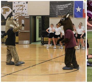 Pep Rally - Antelope vs Antelope