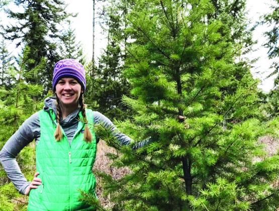 CUTYOUROWNTREE The Lincoln National Forest, in nearby New Mexico, is one of the U.S. national forests allowing visitors to cut a Christmas tree, by permit. | NATIONAL FOREST FOUNDATION