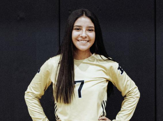 Post All District Honors