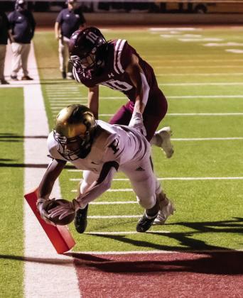 TOUCHDOWN ! Photo by Ron Francis