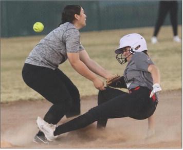 Bold Gold begin baseball season