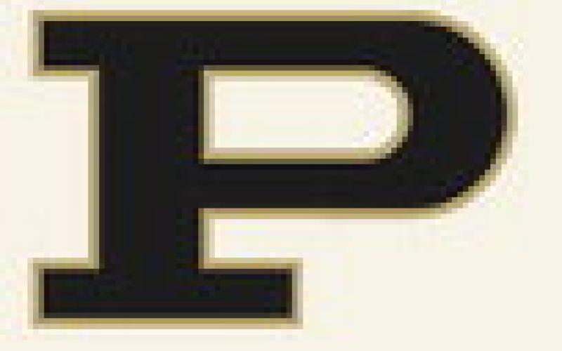 Bold Gold, Lady Lopes