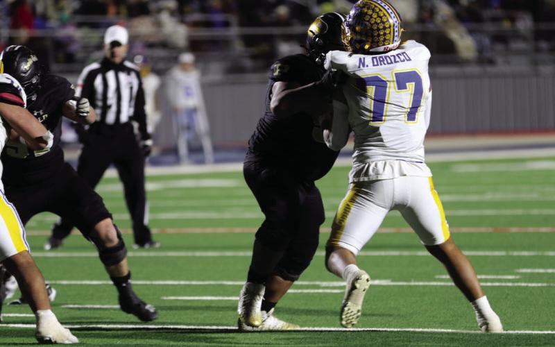 SPOTLIGHT ON BOLD GOLD WIN VS SUNRAY