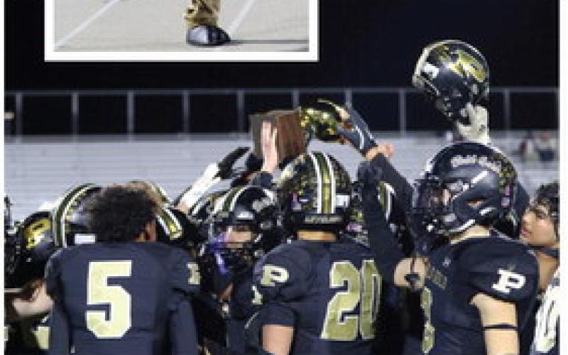 SPOTLIGHT ON BOLD GOLD WIN VS SUNRAY