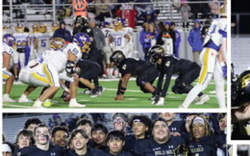 SPOTLIGHT ON BOLD GOLD WIN VS SUNRAY