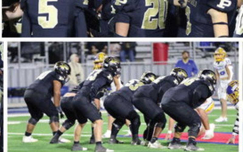 SPOTLIGHT ON BOLD GOLD WIN VS SUNRAY