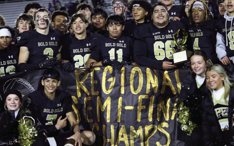 SPOTLIGHT ON BOLD GOLD WIN VS SUNRAY