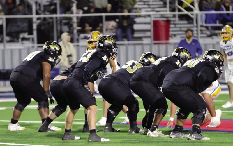 SPOTLIGHT ON BOLD GOLD WIN VS SUNRAY