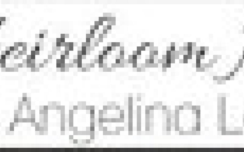 Alt Text for Image
