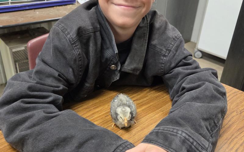 CHICK IT OUT! Southland students recently took part on a science project to monitor the hatching of chicken eggs—with chicks arriving just in time for Easter. MORE PHOTOS, PAGE 8