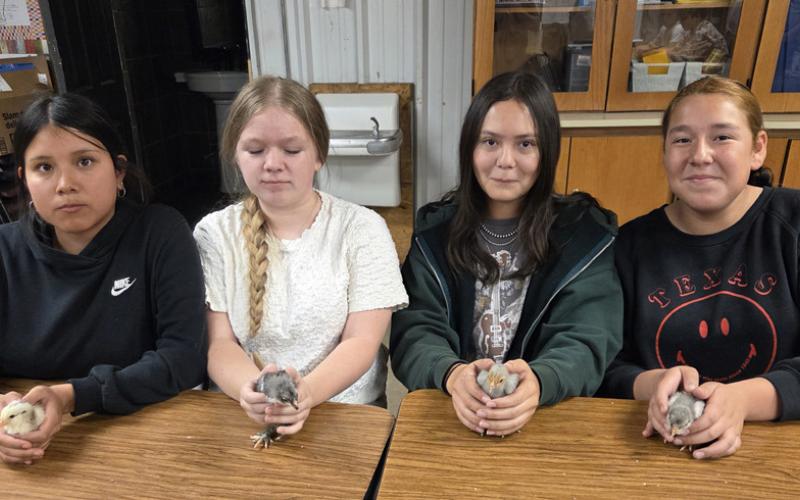 Southland students hatch hands-on learning experience