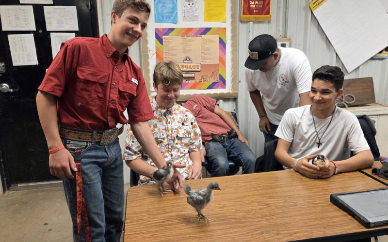 Southland students hatch hands-on learning experience
