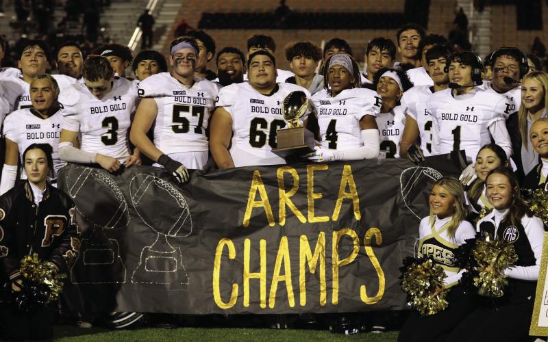 Antelopes shock Tigers in overtime, advancing to Regional Semifinals 42-35