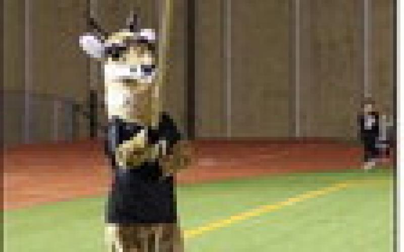 Antelopes shock Tigers in overtime, advancing to Regional Semifinals 42-35