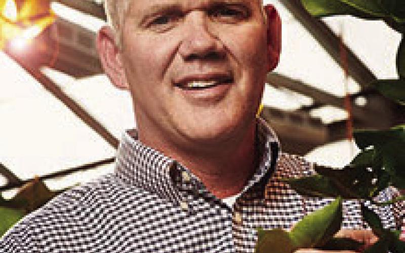 CROP REPORTS