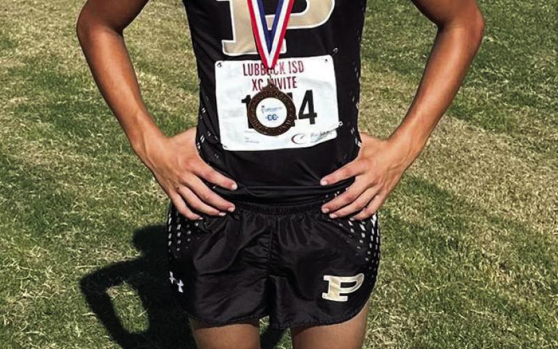 BOLD GOLD CROSS COUNTRY