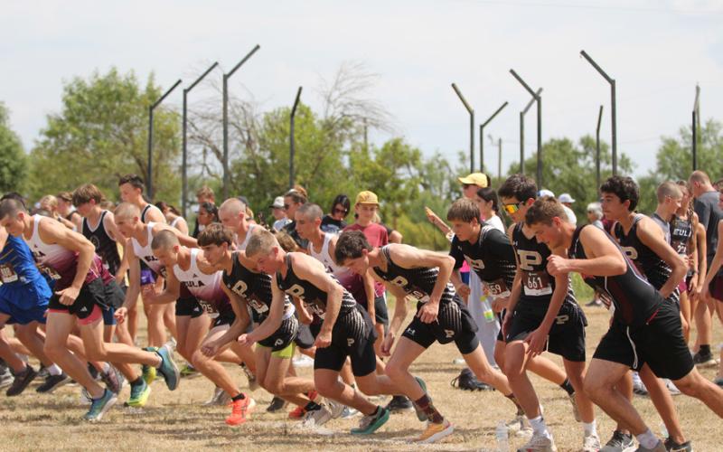 Post cross country teams impress at Hamlin meet