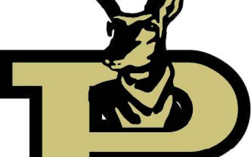 Bold Gold to take on New Deal in district opener