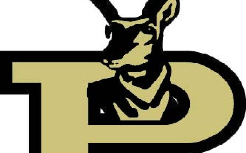 Bold Gold tames New Deal Lions 61-20