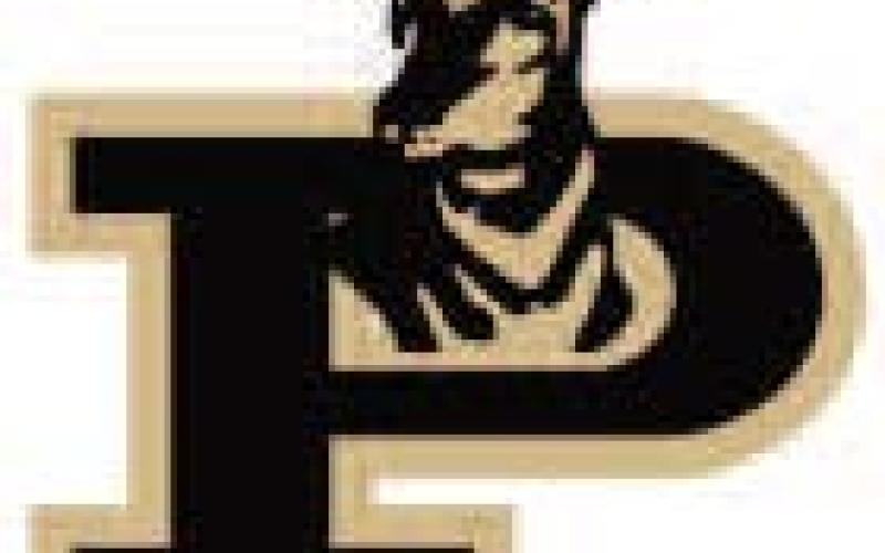 Bold Gold and Lady Lopes impress at area track