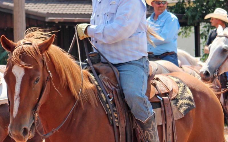 SPOTLIGHT ON RODEO PARADE