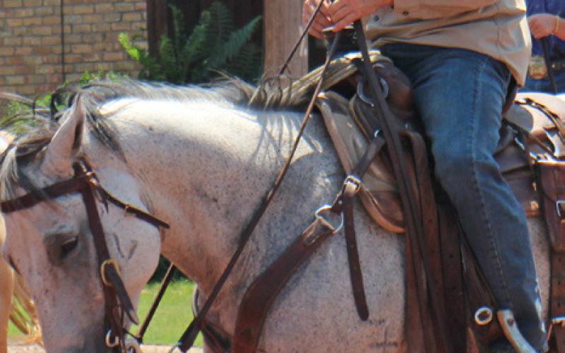 SPOTLIGHT ON RODEO PARADE