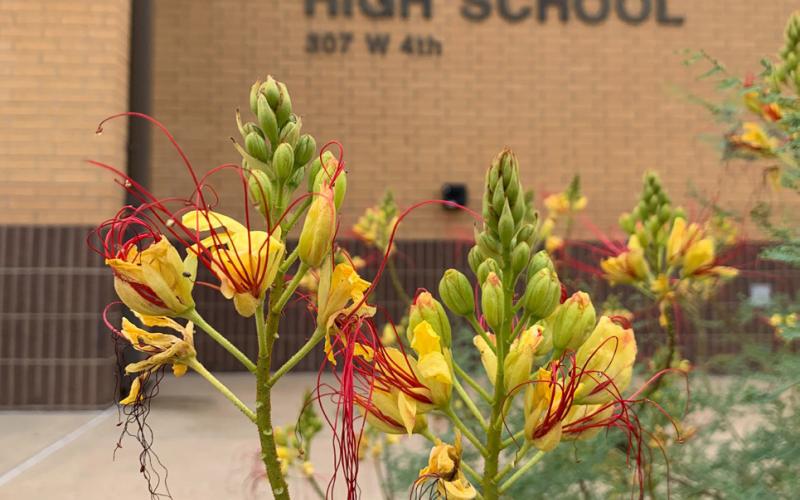 Post ISD board sets tax rate at $1.1583