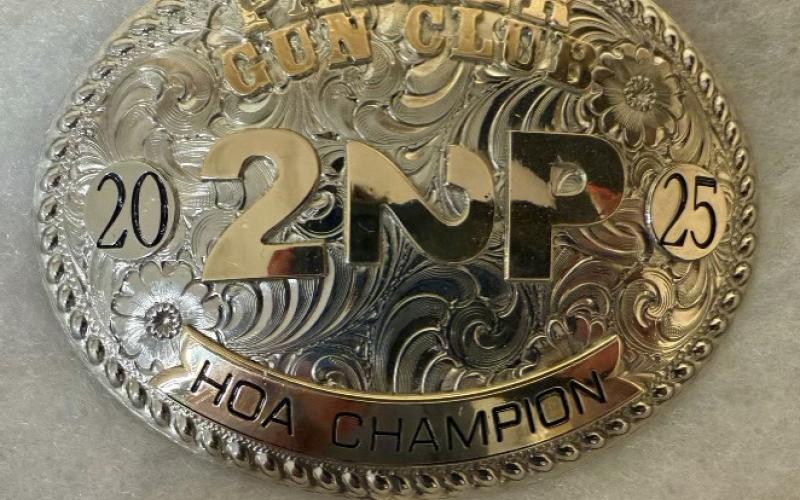 Buckles awarded to the winners of each division.