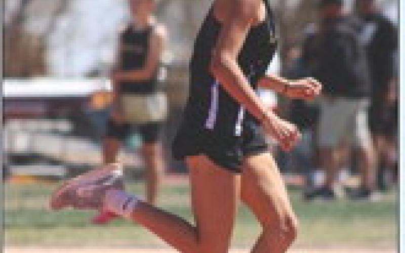 Bold Gold; Lady Lopes excel at Caprock Relays