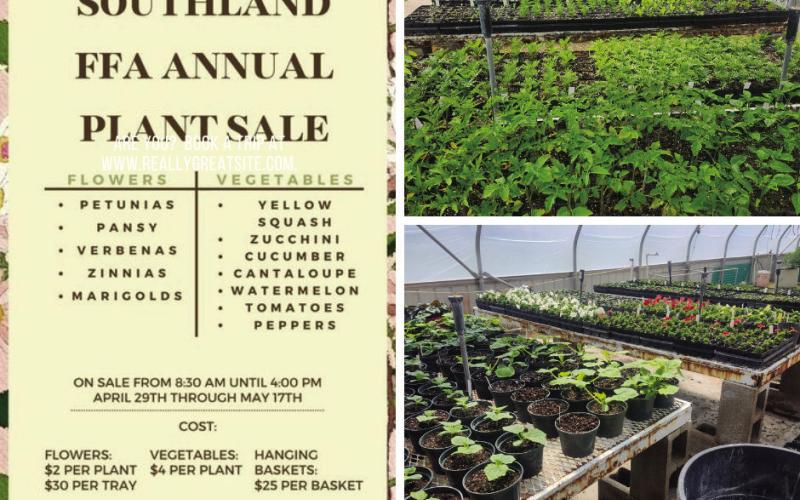 SOUTHLAND FFA PLANT SALE