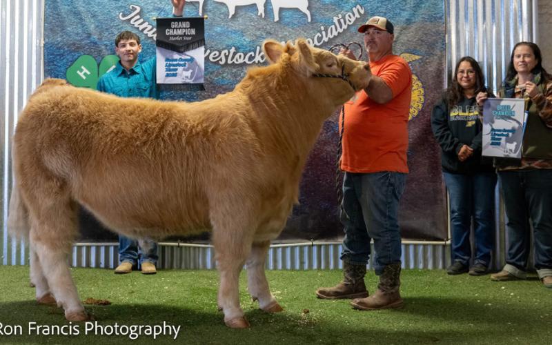 GRAND CHAMPION EXOTIC STEER CAMERON MENCHACA