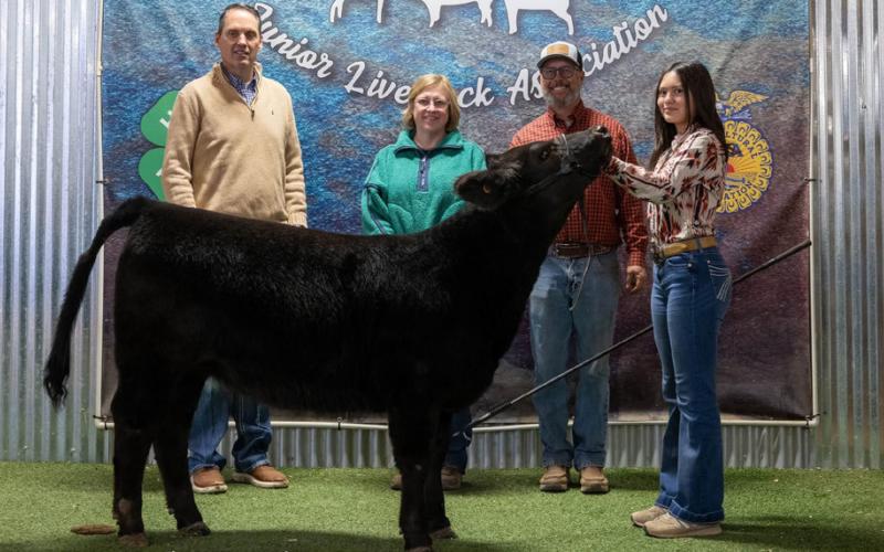 GRAND CHAMPION HEIFER ANNIE BASINGER