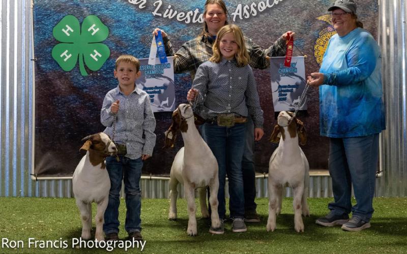 BREED CHAMPION MEDIUM GOAT MORGAN TADLOCK