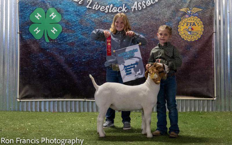 RESERVE BREED CHAMPION HEAVY-LIGHT GOAT ZOEE RA
