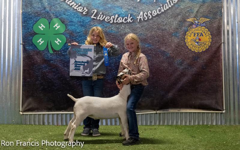 RESERVE BREED CHAMPION MEDIUM GOAT SARAH TADLOCK