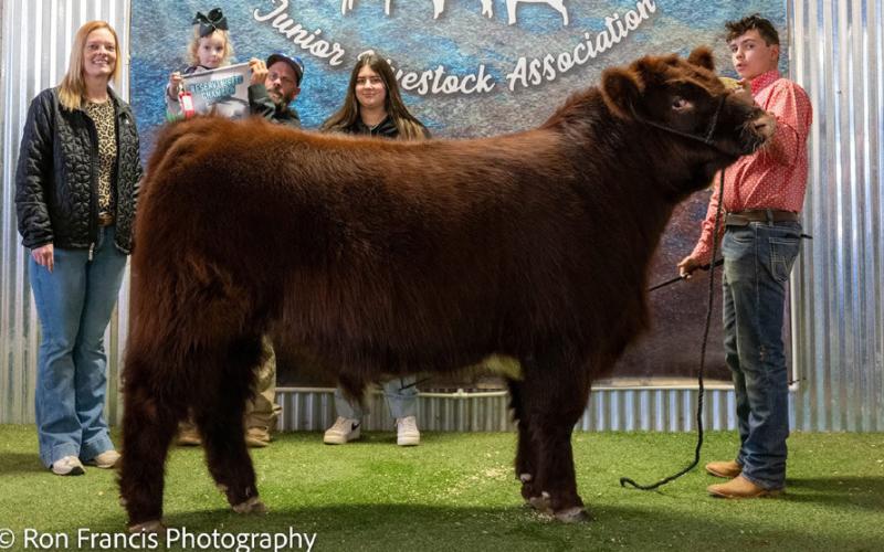 RESERVE GRAND CHAMPION EXOTIC STEER CALEB JONES