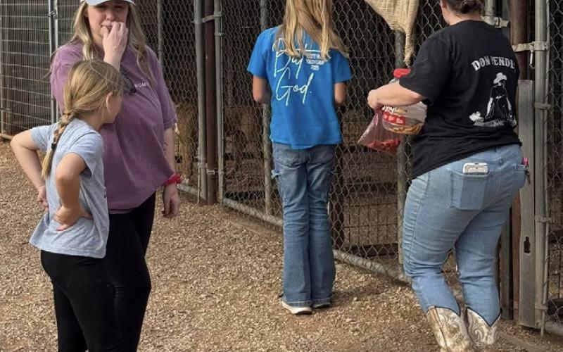 COMMUNITY SERVICE