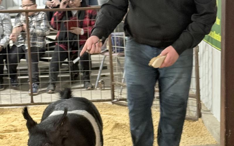 Southland Livestock Show highlights youth achievement and hard work