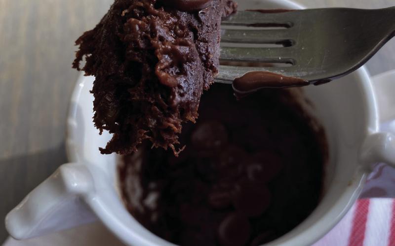 Chocolate Mug Brownie Cake