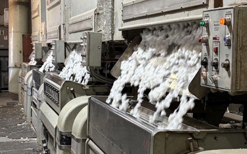 West Texas cotton: high quality, low prices challenge local producers