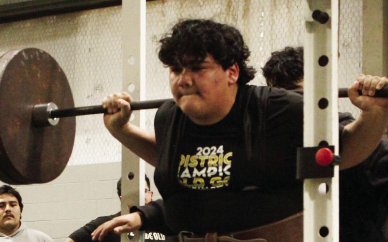 Bold Gold send eight lifters to Regional Powerlifting Meet