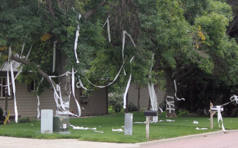 Spooky insurance claims: Are Halloween tricks covered?