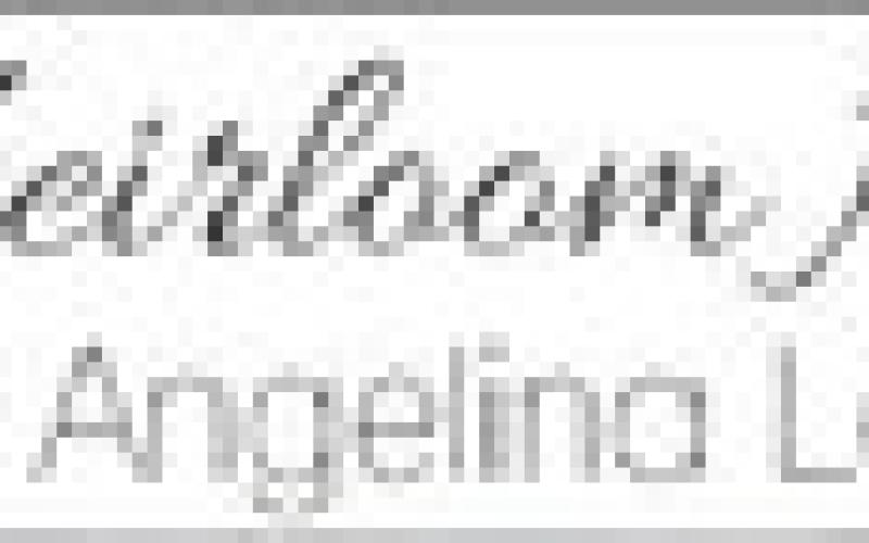 Alt Text for Image