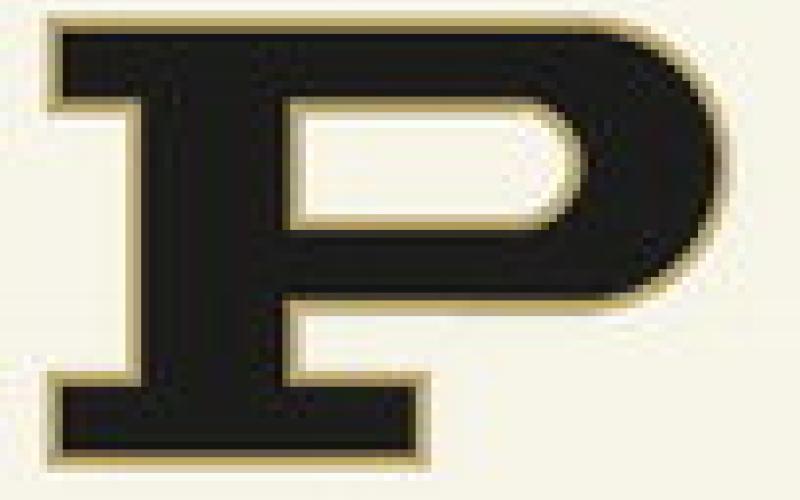 Bold Gold earns third place