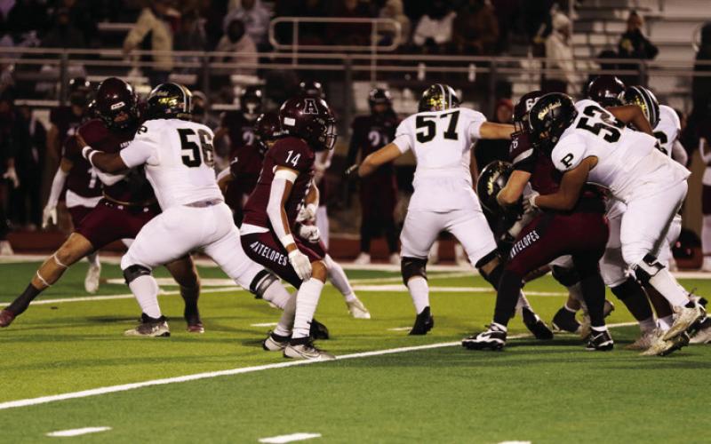 SPOTLIGHT ON BOLD GOLD DISTRICT CHAMPS